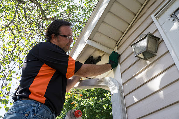 Best Shed Removal  in Costa Mesa, CA